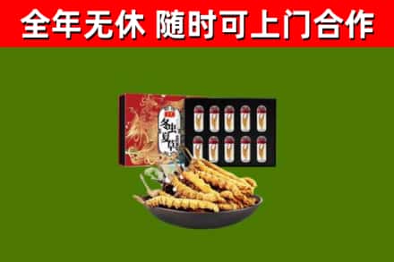 南山烟酒回收冬虫夏草礼盒.jpg
